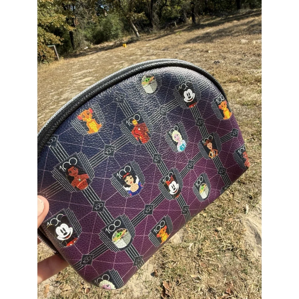 Disney 100 Years of Wonder Anniversary Cosmetic Bag READ